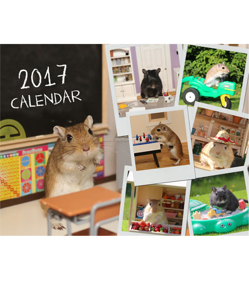 календарь в год крысы